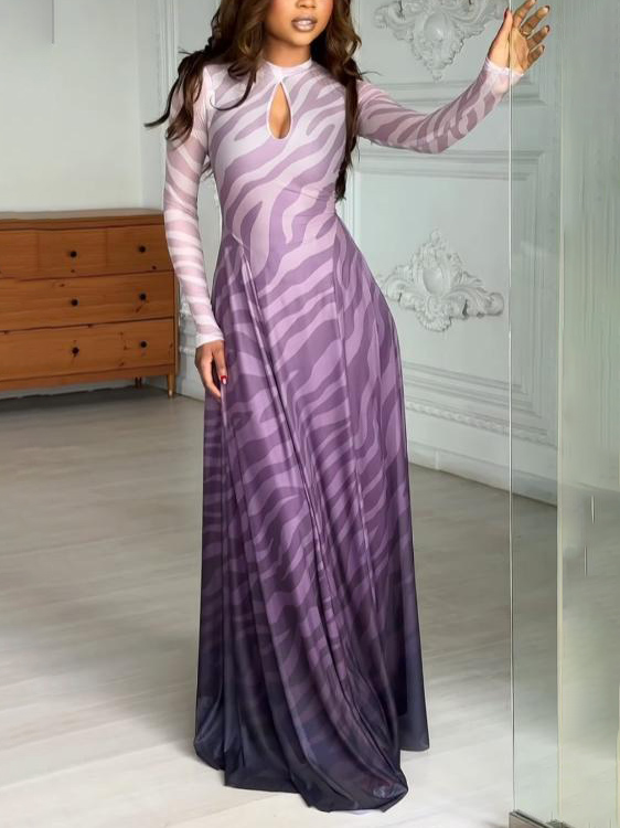 Printed Mesh Maxi Dress